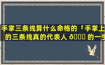 手掌三条线算什么命格的「手掌上的三条线真的代表人 🐘 的一生」